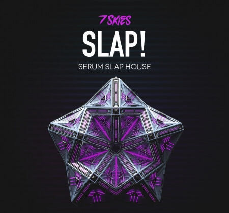 Standalone-Music 7 Skies Slap! SERUM Slap House Synth Presets